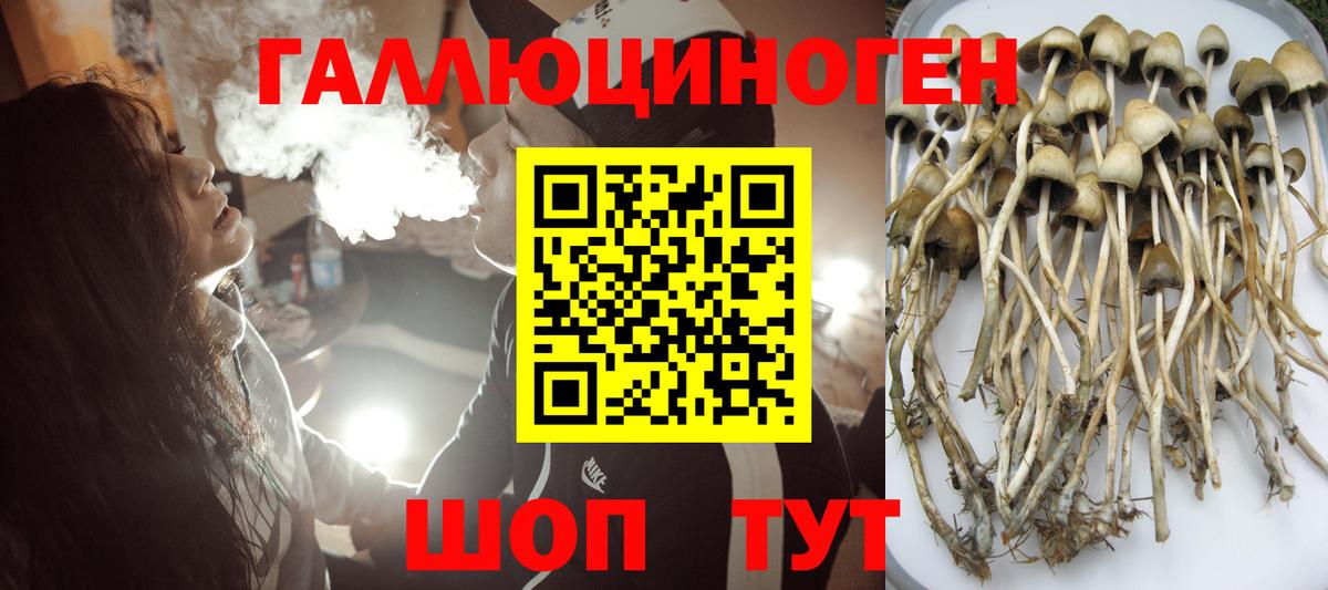 Псилоцибиновые грибы Magic Shrooms  Вход с VPN  Галлюциногенные грибы Psilocybine cubensis  Хасавюрт 