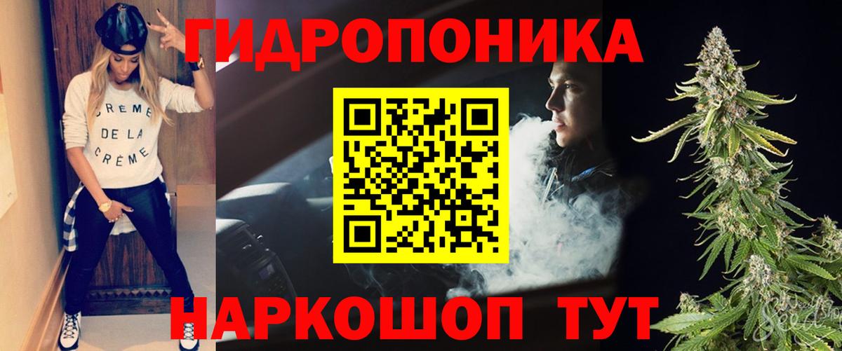 Шишки марихуана сатива  Вход с VPN  Хасавюрт  Канабис LSD WEED  Марихуана сатива 